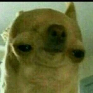 Meet your Posher, Erykk